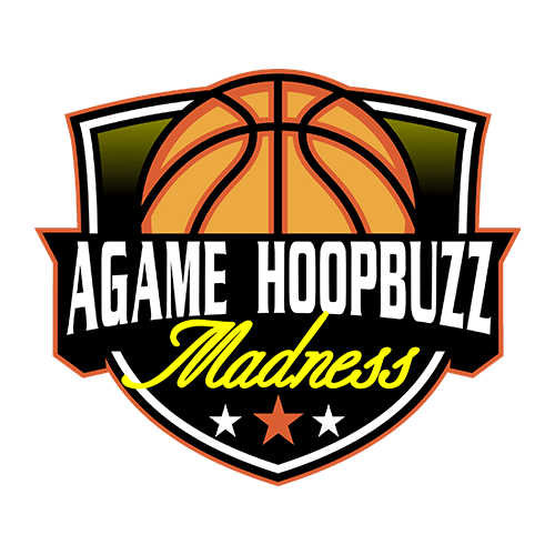AGame Hoopbuzz Madness